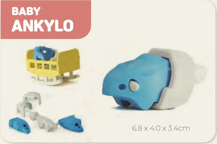 Ankylo Baby