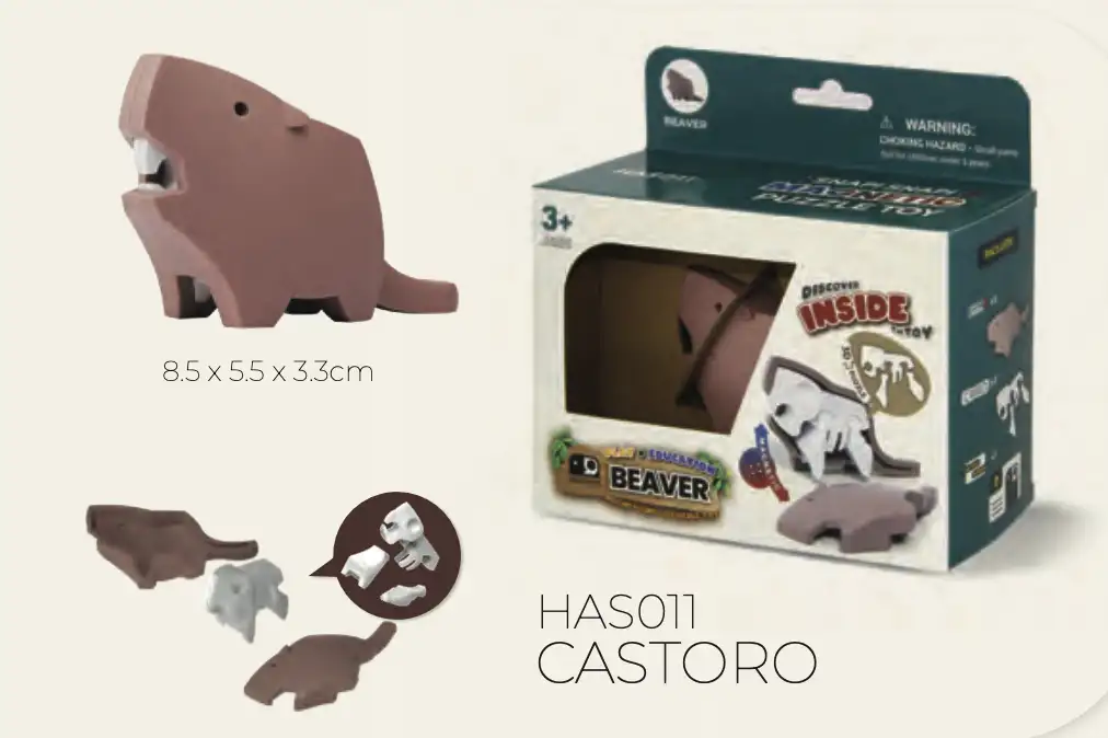 Castoro